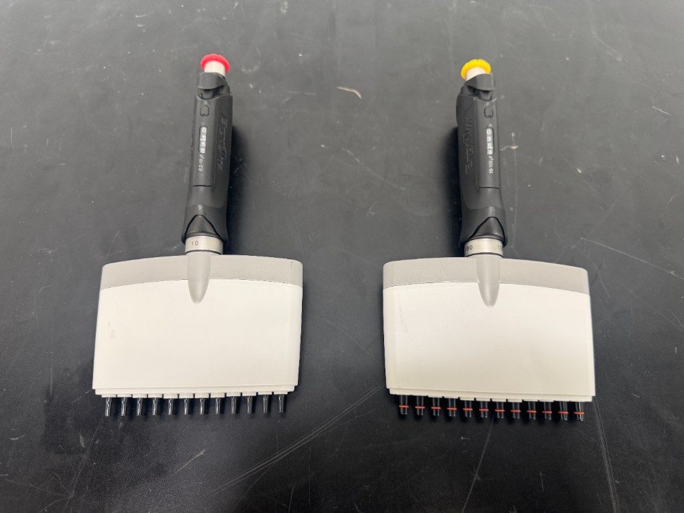 Image of ErgoOne Multichannel Pipette